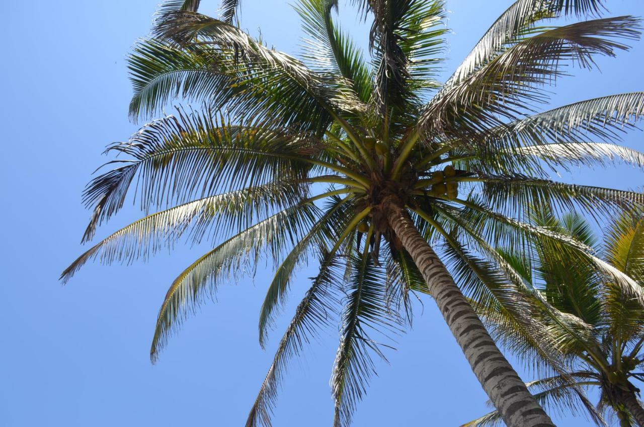 Playa Los Angeles Лос Наранхос Екстериор снимка